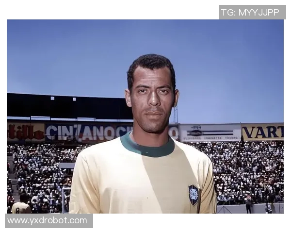 神奇足球明星名单表揭秘全球顶尖球员的传奇故事与成就