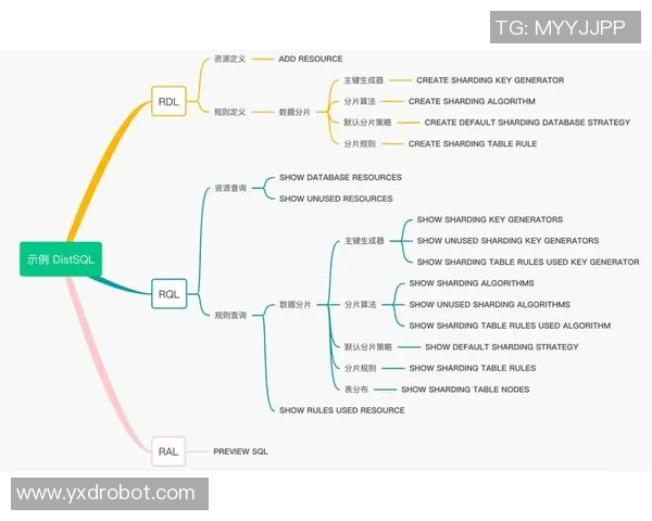 西安排球队盯防战术全解析：排球深度研究与实战应用