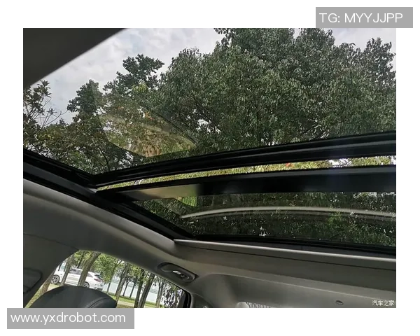 武汉滑板队实力解析:各队员技术特点与团队协作的深度对比分析 武汉滑板队实力解析:各队员技术特点与团队协作的深度对比分析