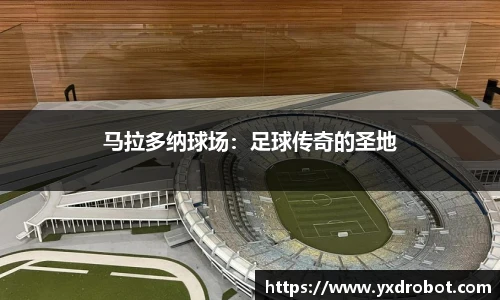 中欧体育