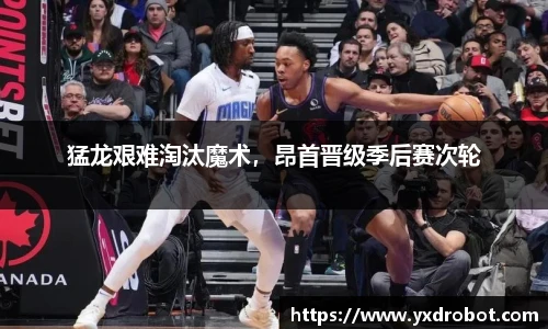 中欧体育官网