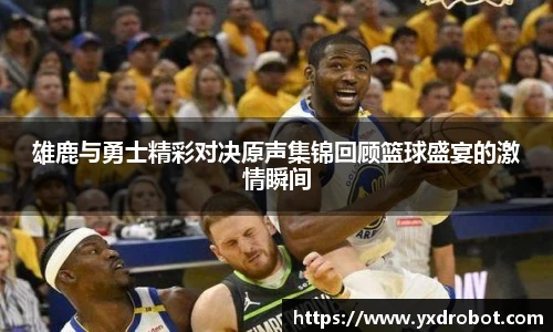 中欧体育平台