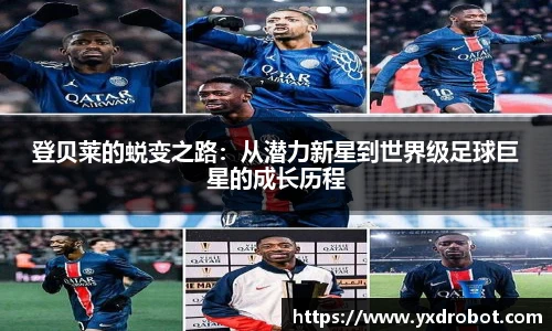 中欧体育官方网站