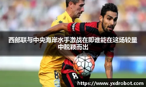 中欧体育平台