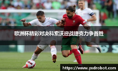 中欧体育