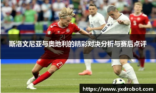 中欧体育