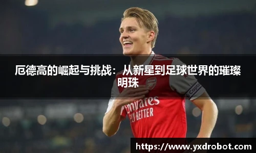 中欧体育官网